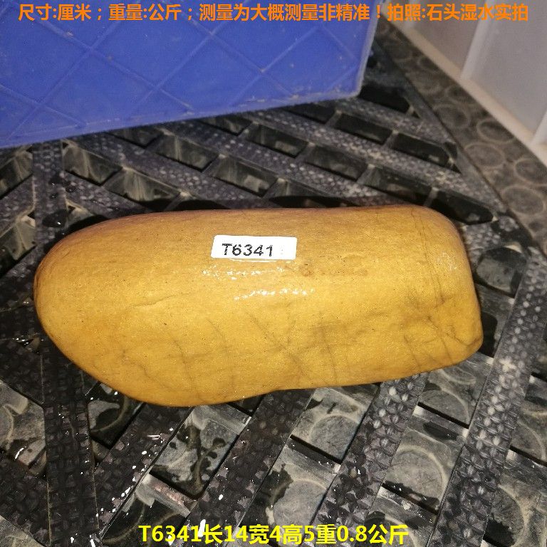 T6341长14宽4高5重0.8公斤乌龟晒台石,黄蜡石