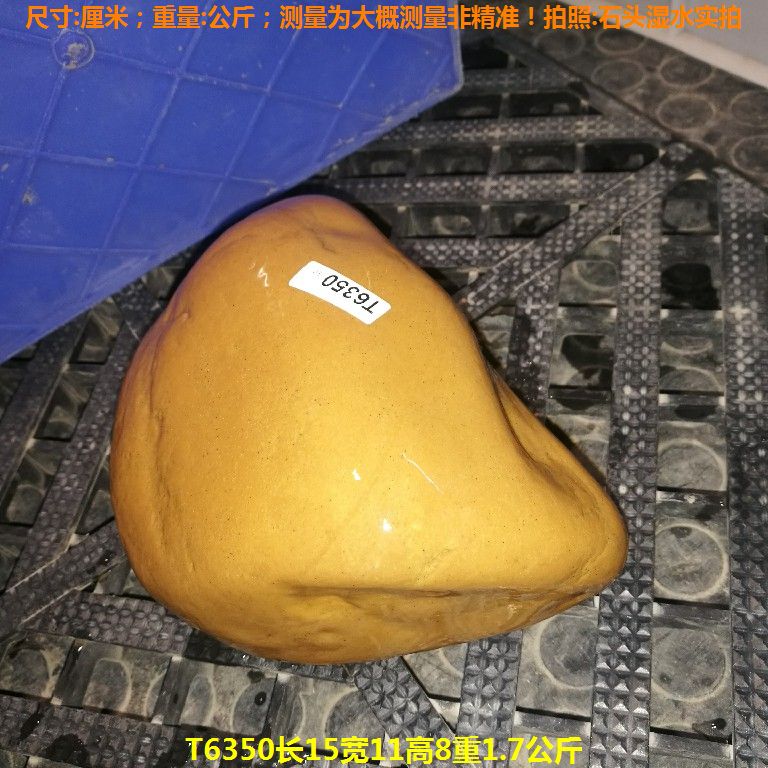 T6350长15宽11高8重1.7公斤乌龟晒台石,黄蜡石