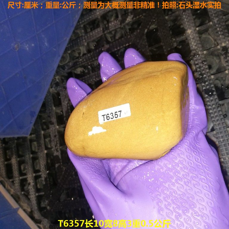 T6357长10宽8高3重0.5公斤乌龟晒台石,黄蜡石
