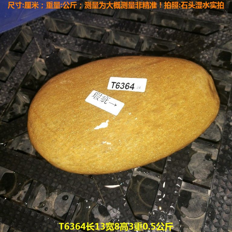 T6364长13宽8高3重0.5公斤乌龟晒台石,黄蜡石