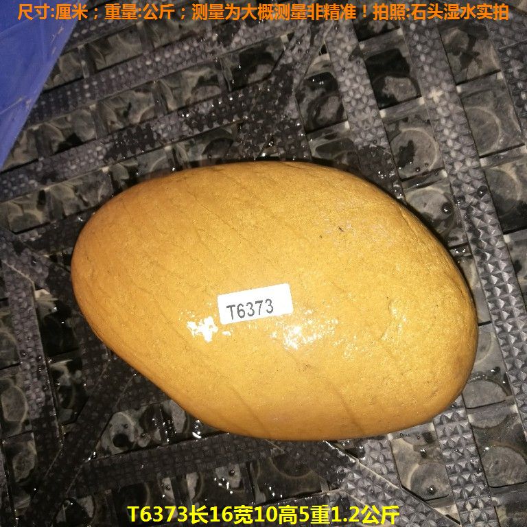 T6373长16宽10高5重1.2公斤乌龟晒台石,黄蜡石