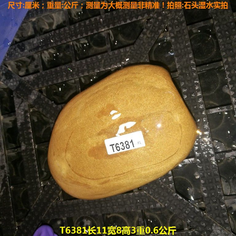 T6381长11宽8高3重0.6公斤乌龟晒台石,黄蜡石