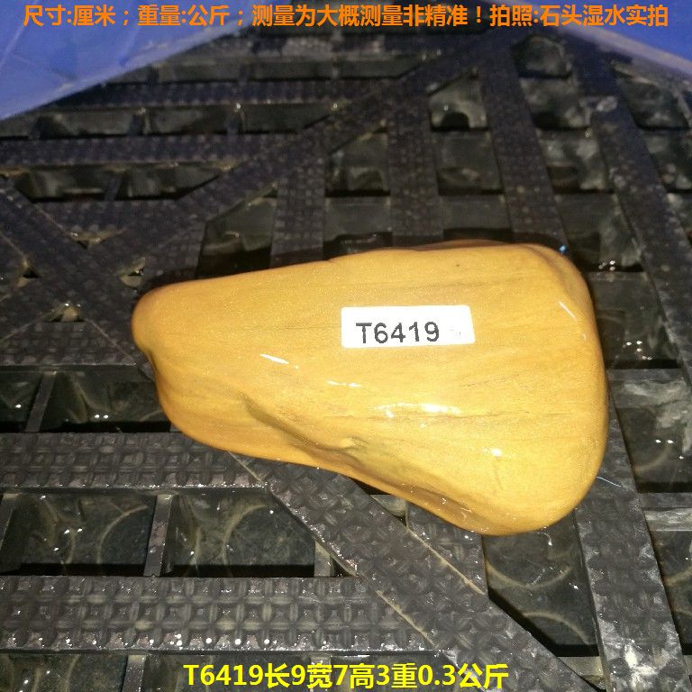 T6419长9宽7高3重0.3公斤乌龟晒台石,黄蜡石