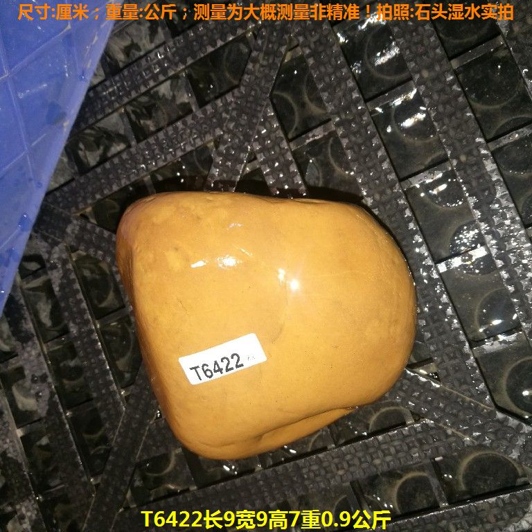 T6422长9宽9高7重0.9公斤乌龟晒台石,黄蜡石