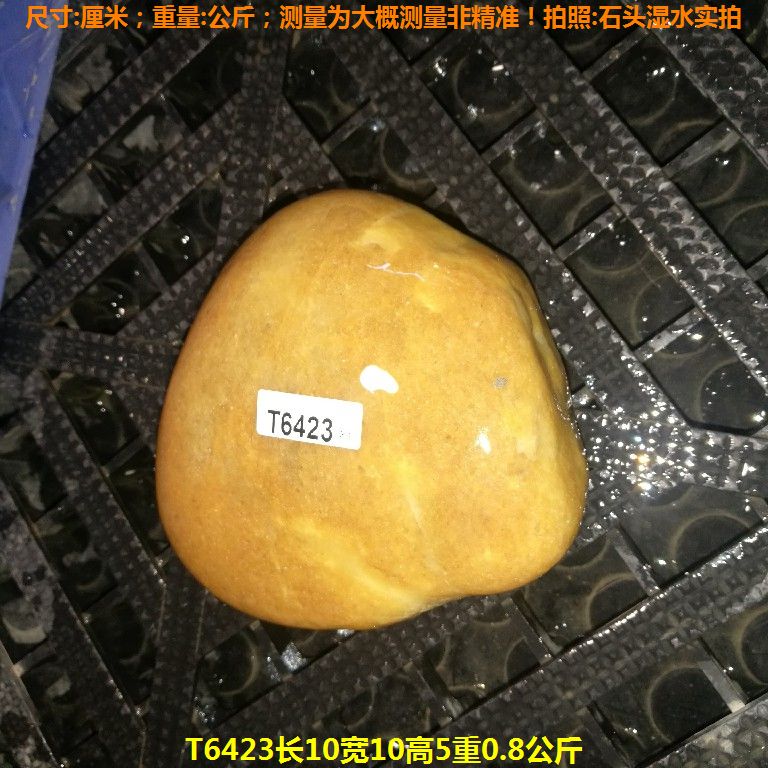 T6423长10宽10高5重0.8公斤乌龟晒台石,黄蜡石
